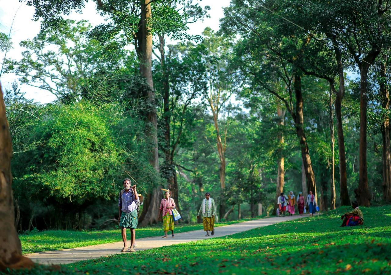Tusker Inn Wayanad Forest Villa By Voye Homes Exterior photo