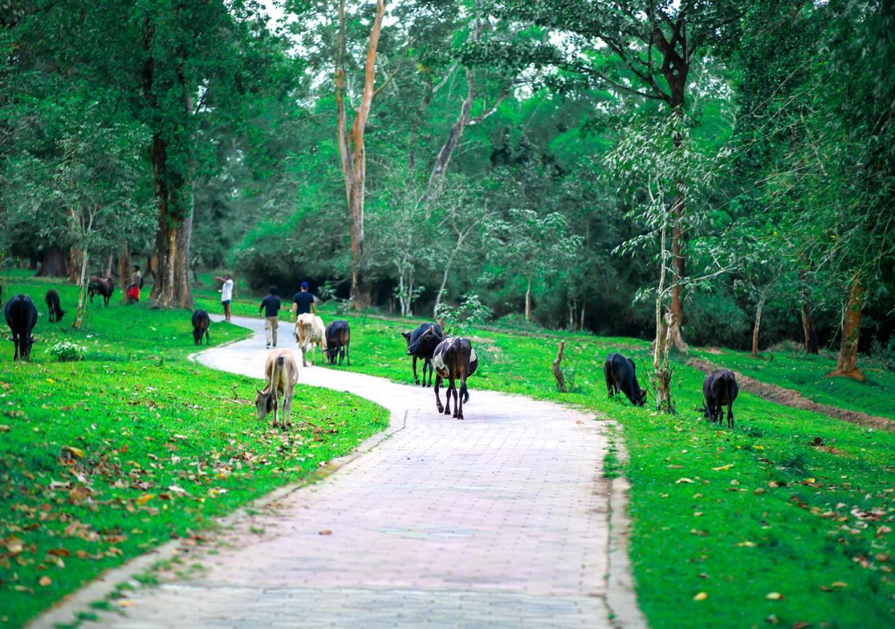 Tusker Inn Wayanad Forest Villa By Voye Homes Exterior photo